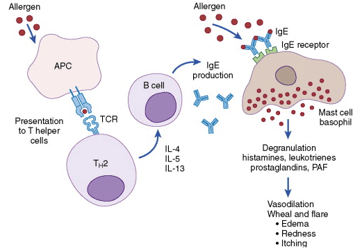 This image has an empty alt attribute; its file name is screen-shot-2021-09-09-at-9.21.26-pm.png